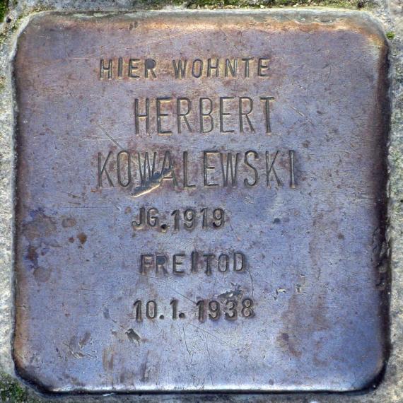 Stolperstein.Mitte.Linienstraße 66.Herbert.Kowalewski.5524