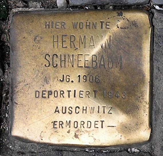 Stumbling Stone Rosenthaler Str 40 41 (center) Hermann Schneebaum