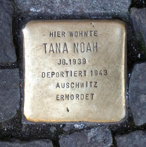 Stumbling block Tana Noah