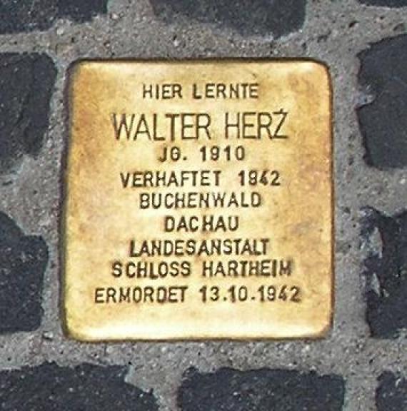 Stumbling Stone Unter den Linden 6 (center) Walter Herz